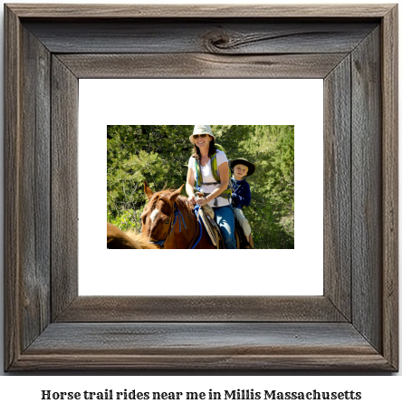 horse trail rides near me in Millis, Massachusetts